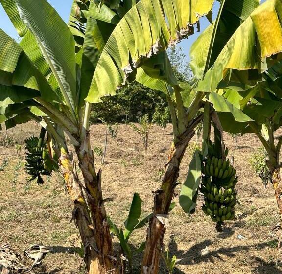 בית מלון כפרי Nature‘r Nest Homestead