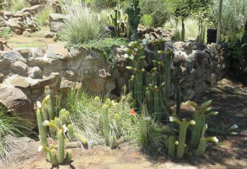 ペンション Cobblestone Court