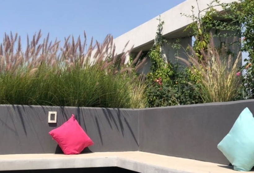 Отель Niu Reforma