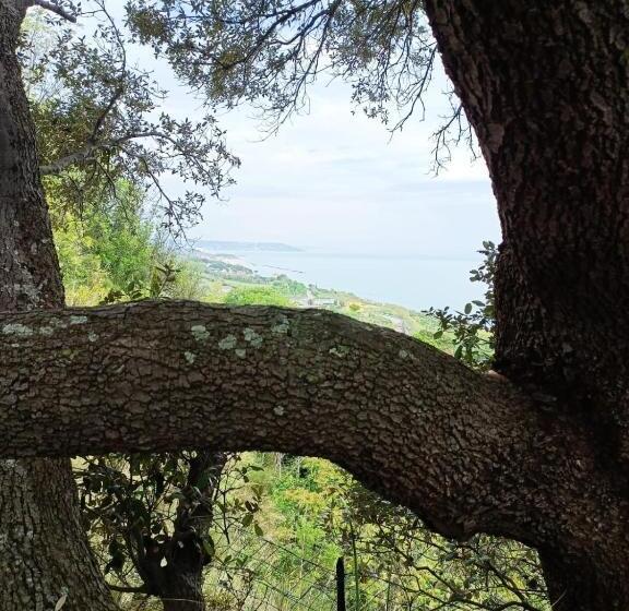 بنسيون Eteras Verrusio Art