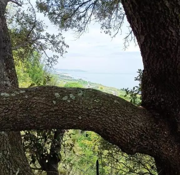 Majatalo Eteras Verrusio Art