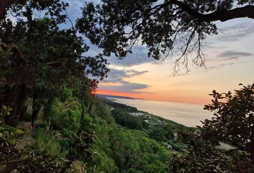 Majatalo Eteras Verrusio Art