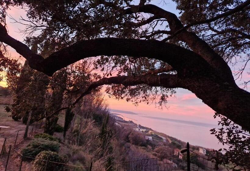 بنسيون Eteras Verrusio Art