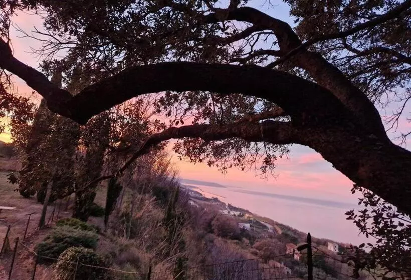 Majatalo Eteras Verrusio Art