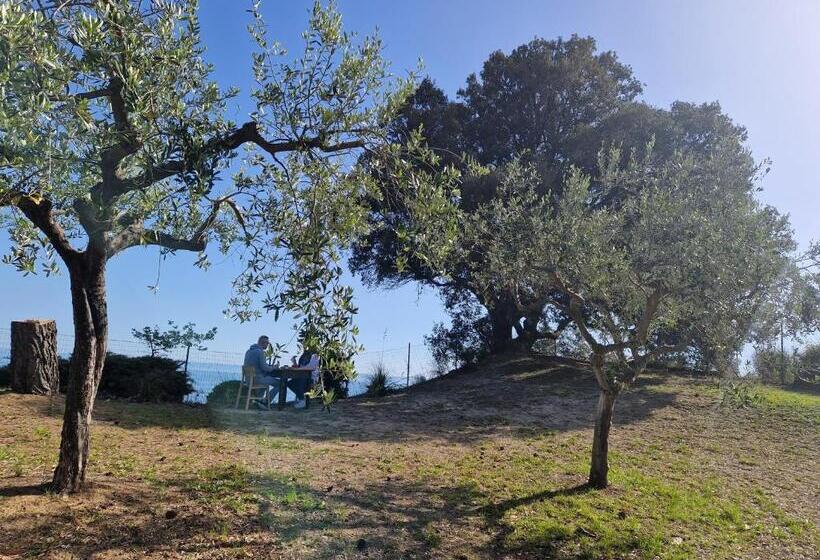 بنسيون Eteras Verrusio Art