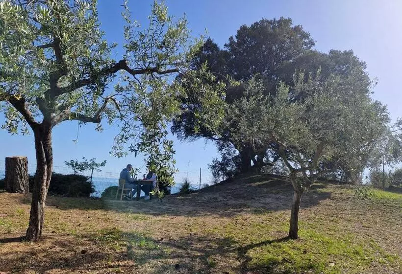 Majatalo Eteras Verrusio Art