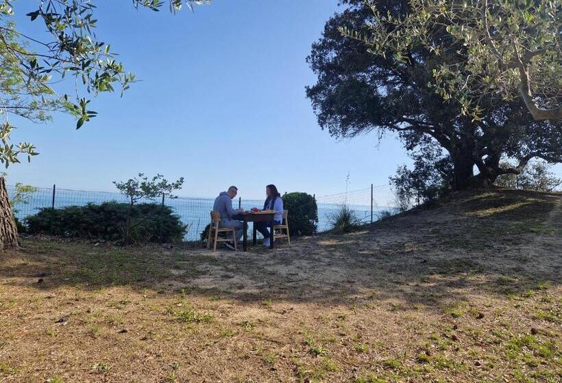 بنسيون Eteras Verrusio Art