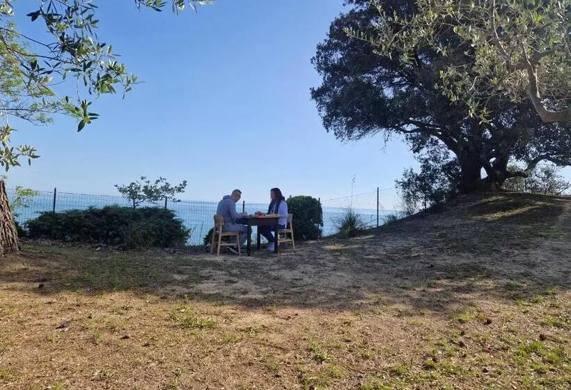 Majatalo Eteras Verrusio Art