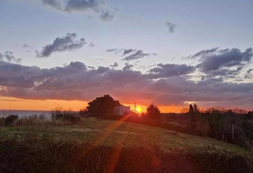 Majatalo Eteras Verrusio Art