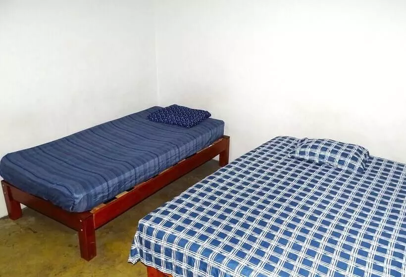 ペンション Hostal Madrid