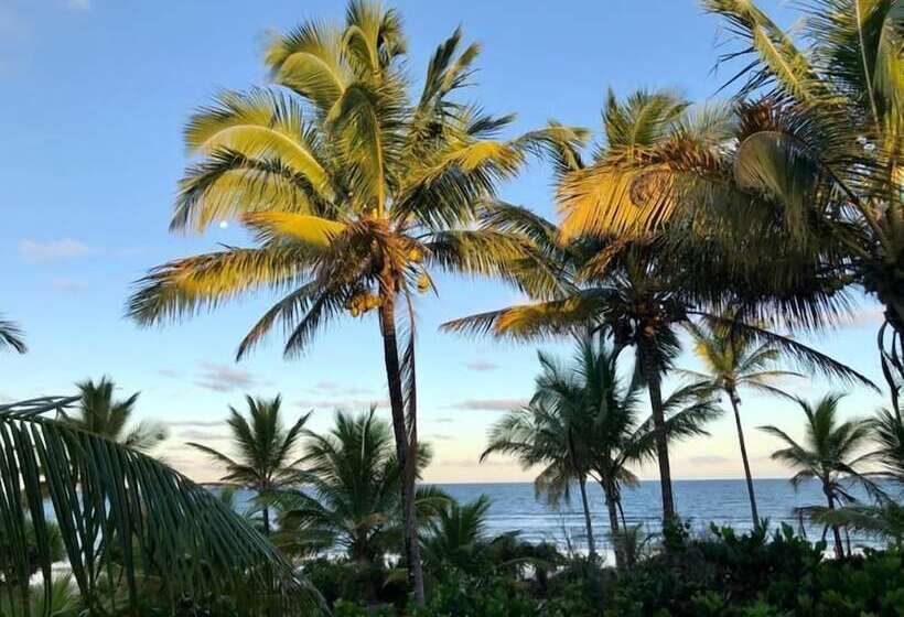 بنسيون Villa Maree Bahia