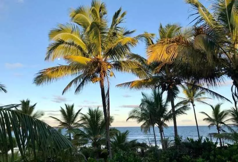 ペンション Villa Maree Bahia