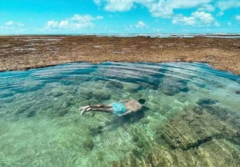 ペンション Villa Maree Bahia