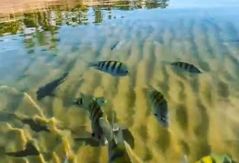 بنسيون Villa Maree Bahia