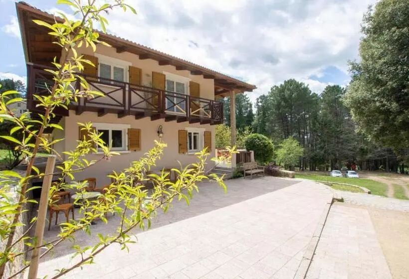 Aamiaismajoitus (B&B) Bavella Vista