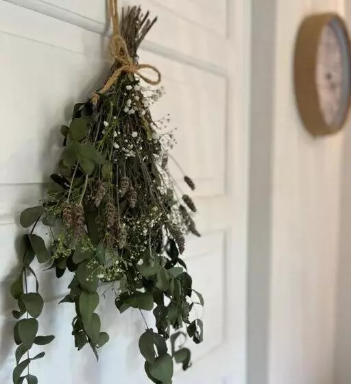 Aamiaismajoitus (B&B) Suíte Lavanda   Centro, Marechal Floriano Es