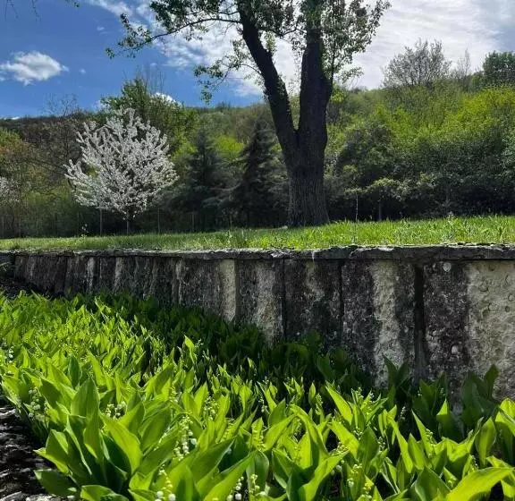 Hotelli парк хотел боили кирека