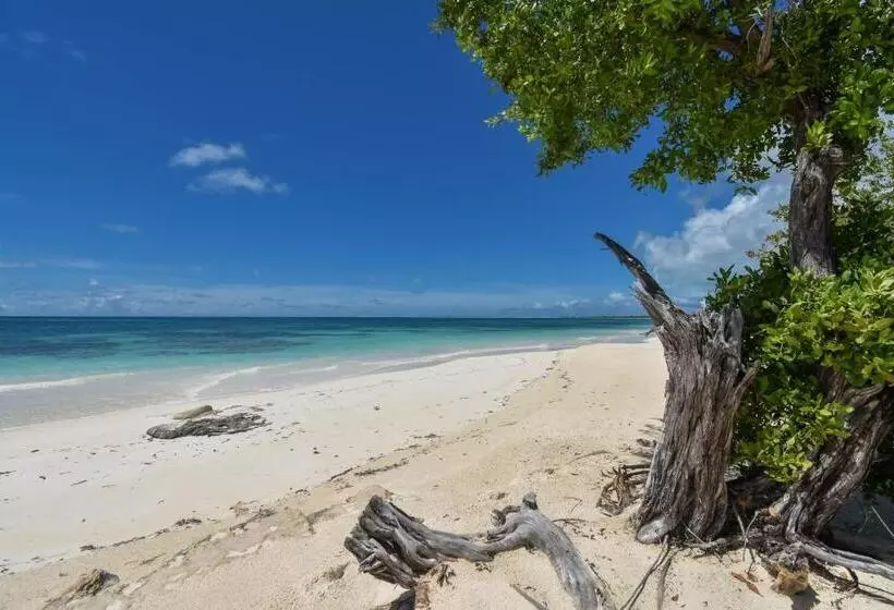 هتل Barbuda Cottages
