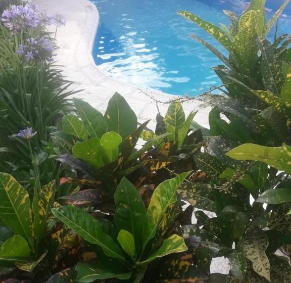 Otel Costanera Goya Apart &