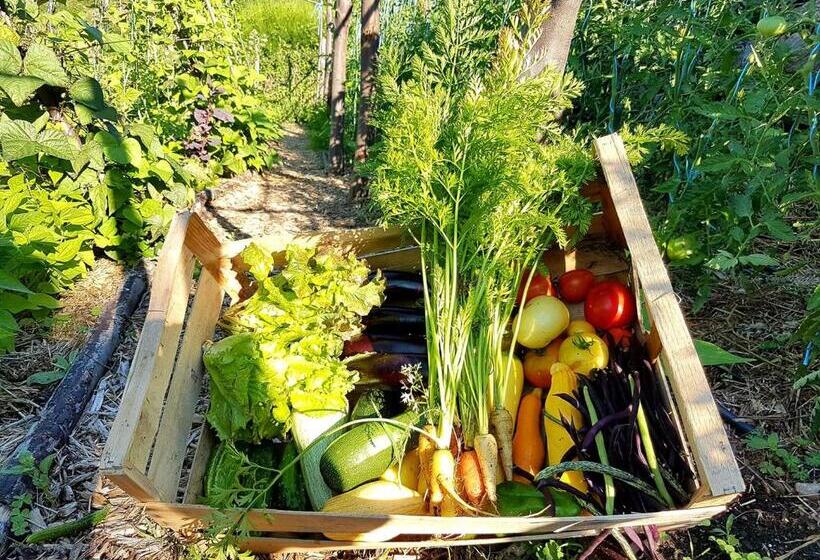 호텔 La Ferme De Chalas