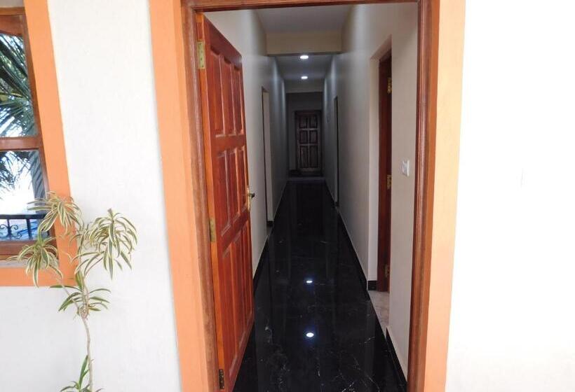 Pension Ariel Guesthouse