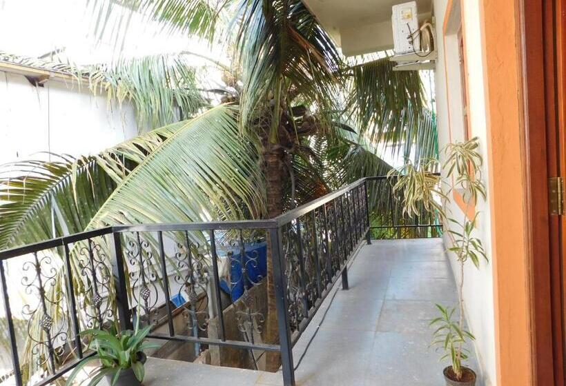 Pension Ariel Guesthouse