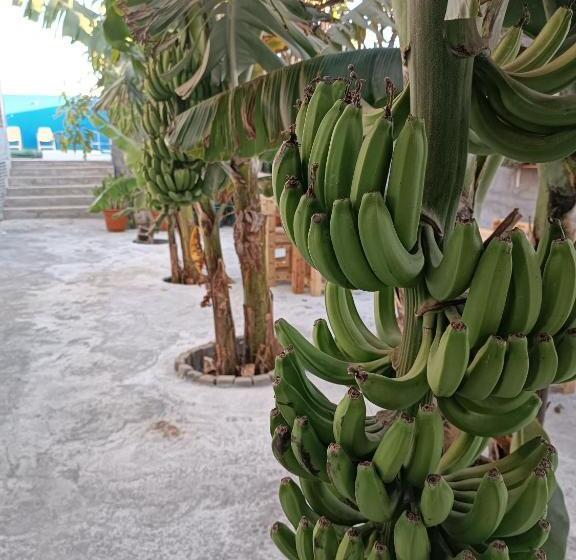 پانسیون Espaço Vila Verde