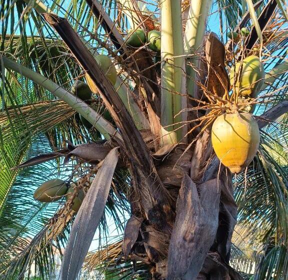 پانسیون Espaço Vila Verde