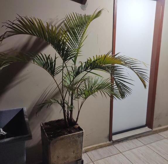 Pension (Hôtel basse catégorie) Quarto Confortavel Com Garagem