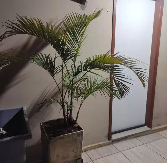 ペンション Quarto Confortavel Com Garagem