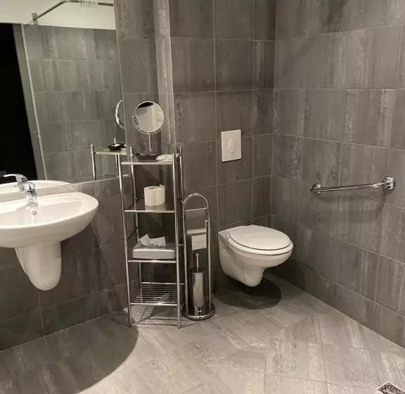 Hotelli L Auberge Du Rhone