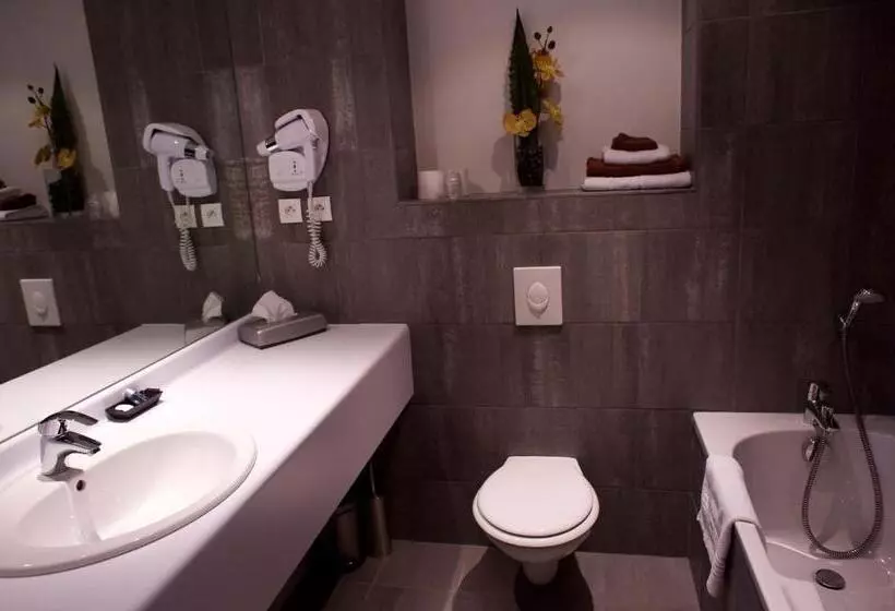 Hotelli L Auberge Du Rhone