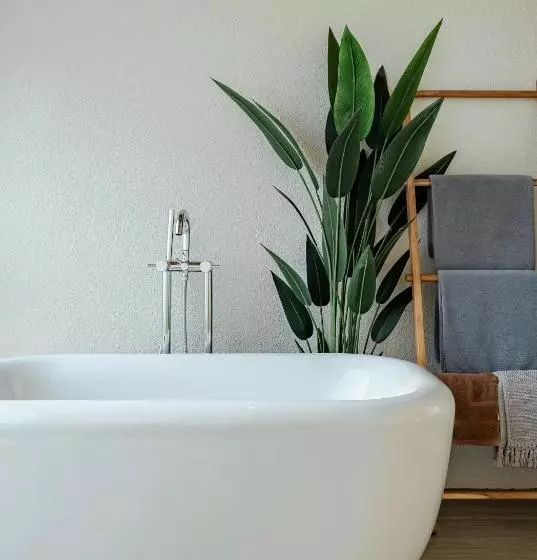 Tasana Bar And Luxury Resort