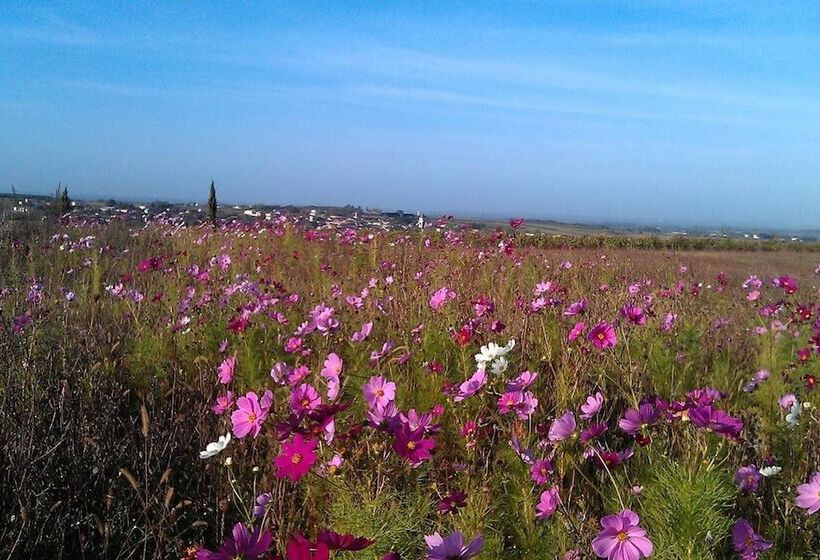 Bed and Breakfast Le Dojo Du Plessis