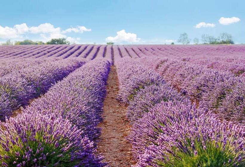 민박 Le Mas Terre Des Anges