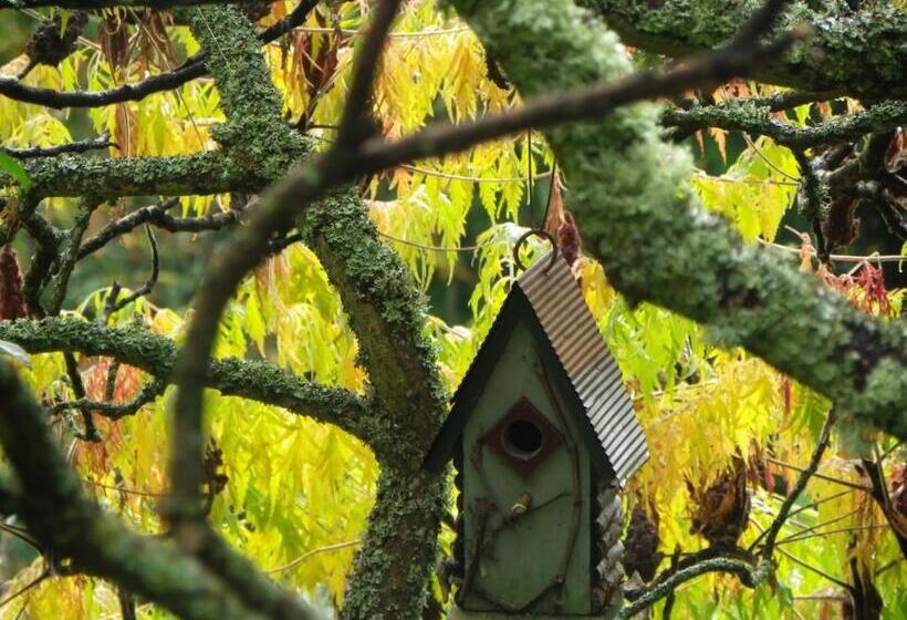 مبيت وإفطار Maison D'hôtes De La Verrière