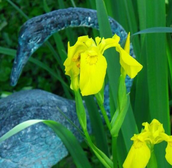 مبيت وإفطار Maison D'hôtes De La Verrière