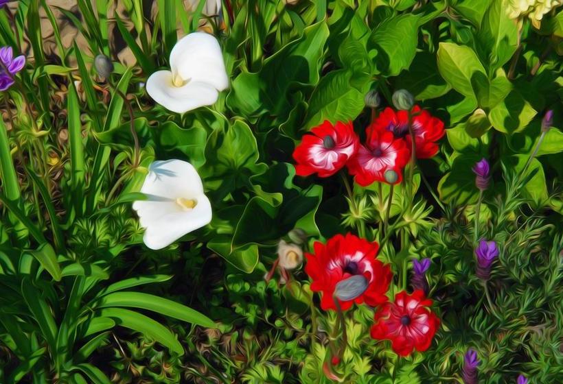 مبيت وإفطار Maison Voie Verte