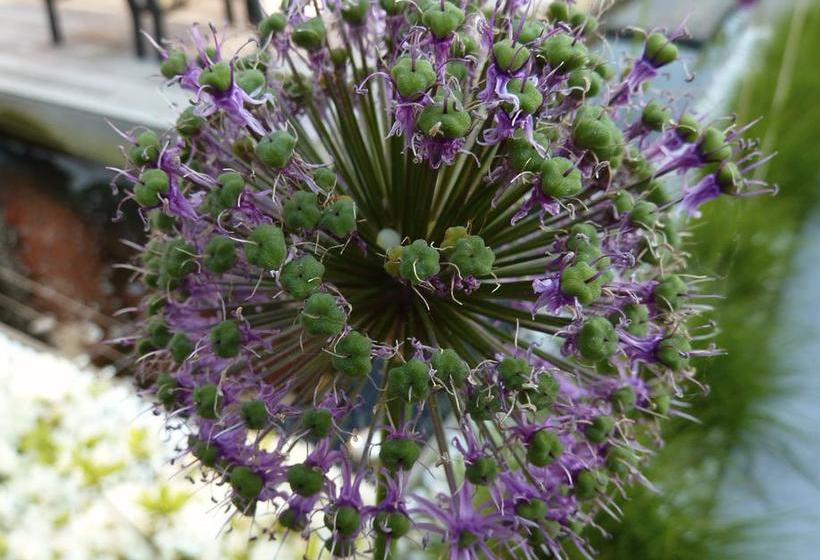 Bed and Breakfast Hôtelya Lille Villeneuve D Ascq