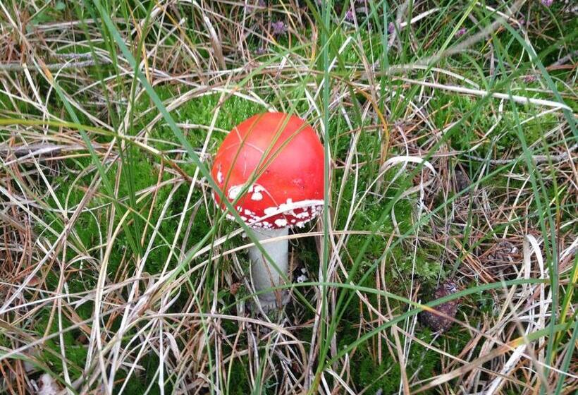 Отель Garni Meeresblick