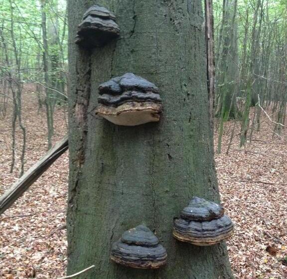 Отель Garni Meeresblick