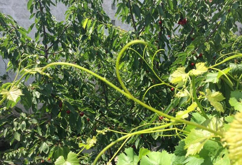 ホテル Jugendstil Hof