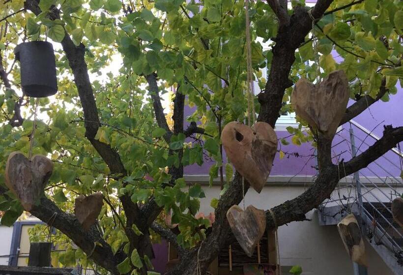 ホテル Jugendstil Hof