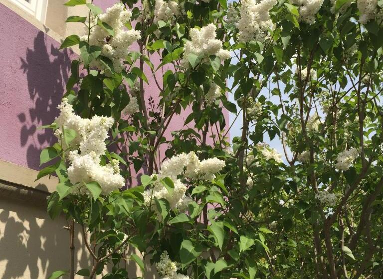 ホテル Jugendstil Hof