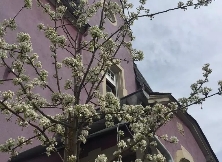 Hotelli Jugendstil Hof