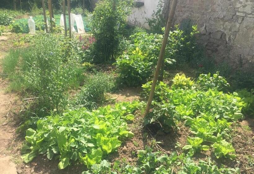 ホテル Jugendstil Hof