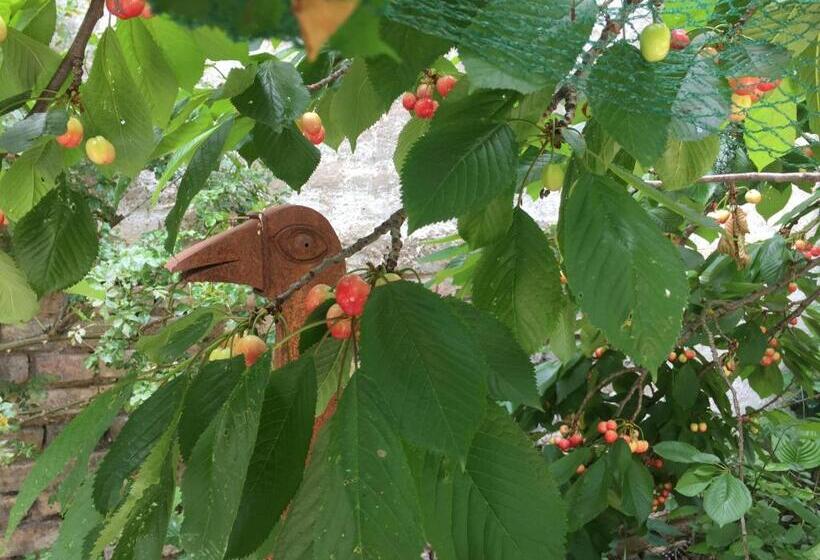 ホテル Jugendstil Hof