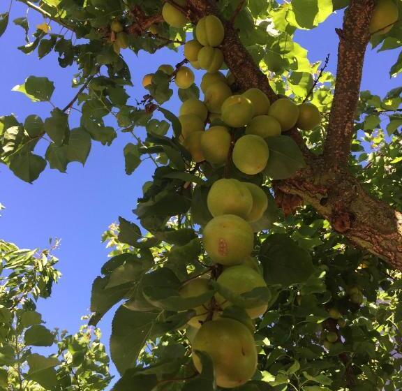 ホテル Jugendstil Hof