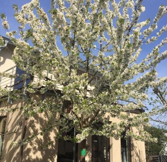 ホテル Jugendstil Hof