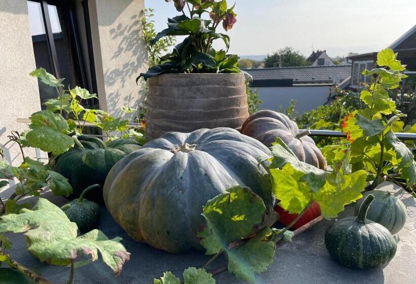 ホテル Jugendstil Hof